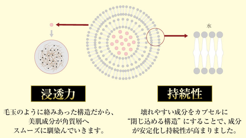 「超浸透デリバリーシステムDDS」
